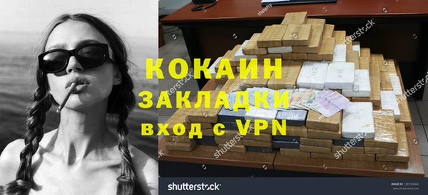 индика Зерноград