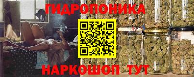 стафф Кудымкар